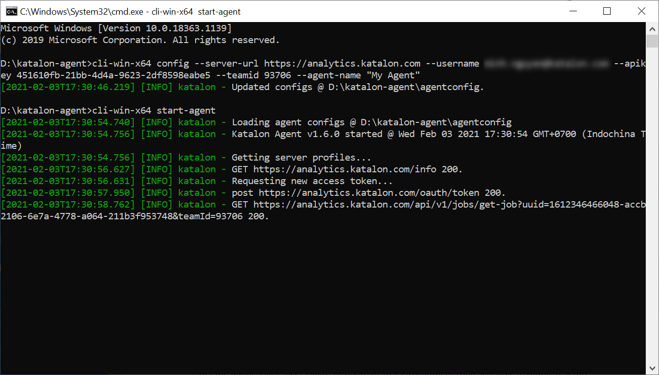 The command line interface within Windows
